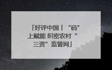 好评中国丨“码”上赋能 织密农村“三资”监管网