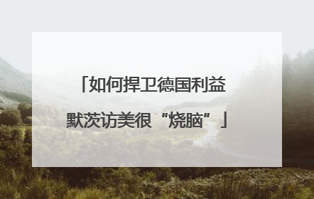 如何捍卫德国利益 默茨访美很“烧脑”