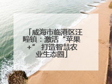 威海市临港区汪疃镇：激活“苹果+” 打造智慧农业生态圈