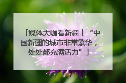 媒体大咖看新疆丨“中国新疆的城市非常繁华，处处都充满活力”