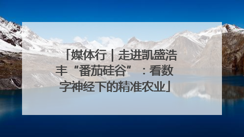 媒体行｜走进凯盛浩丰“番茄硅谷”：看数字神经下的精准农业