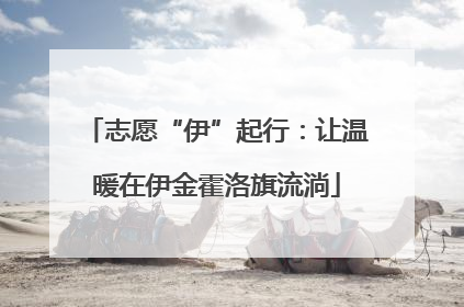 志愿“伊”起行：让温暖在伊金霍洛旗流淌
