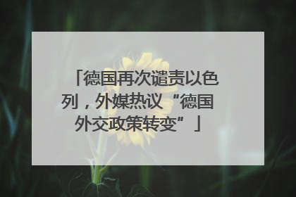 德国再次谴责以色列，外媒热议“德国外交政策转变”