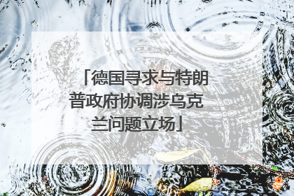 德国寻求与特朗普政府协调涉乌克兰问题立场