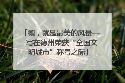 德，就是最美的风景——写在德州荣获“全国文明城市”称号之际