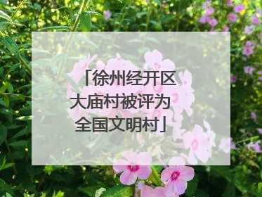 徐州经开区大庙村被评为全国文明村