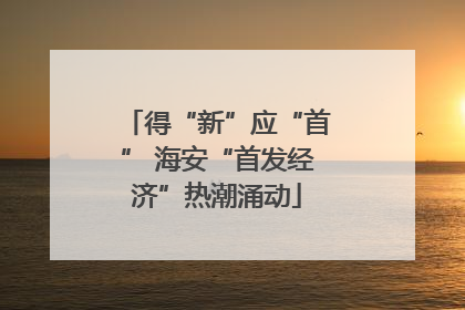 得“新”应“首” 海安“首发经济”热潮涌动