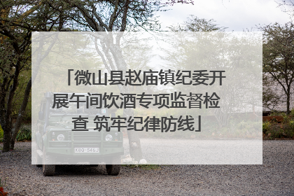 微山县赵庙镇纪委开展午间饮酒专项监督检查 筑牢纪律防线