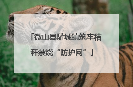 微山县驩城镇筑牢秸秆禁烧“防护网”