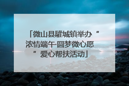 微山县驩城镇举办“浓情端午·圆梦微心愿”爱心帮扶活动
