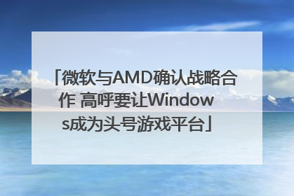 微软与AMD确认战略合作 高呼要让Windows成为头号游戏平台