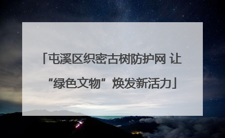 屯溪区织密古树防护网 让“绿色文物”焕发新活力
