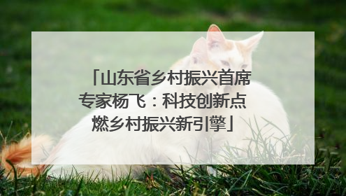 山东省乡村振兴首席专家杨飞：科技创新点燃乡村振兴新引擎