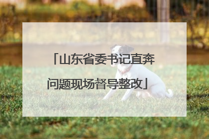 山东省委书记直奔问题现场督导整改