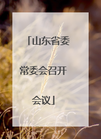 山东省委常委会召开会议