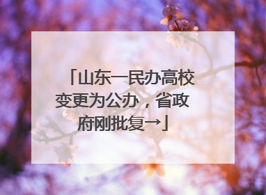 山东一民办高校变更为公办，省政府刚批复→