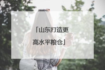 山东打造更高水平粮仓