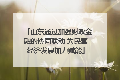 山东通过加强财政金融的协同联动 为民营经济发展加力赋能
