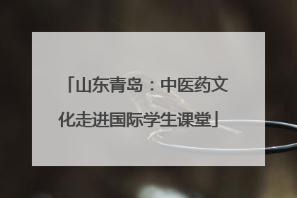 山东青岛：中医药文化走进国际学生课堂