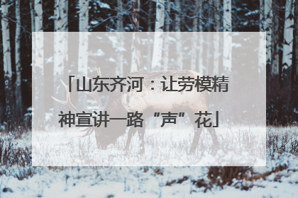 山东齐河：让劳模精神宣讲一路“声”花