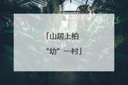 山居上柏 “幼”一村