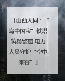 山西大同：“鸟中国宝”铁塔筑巢繁殖 电力人员守护“空中来客”