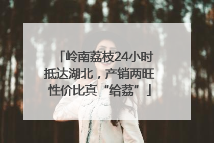 岭南荔枝24小时抵达湖北，产销两旺性价比真“给荔”