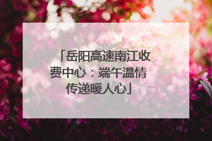 岳阳高速南江收费中心：端午温情传递暖人心