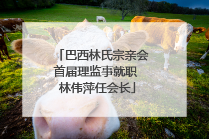 巴西林氏宗亲会首届理监事就职 林伟萍任会长
