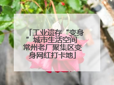 工业遗存“变身”城市生活空间 常州老厂聚集区变身网红打卡地