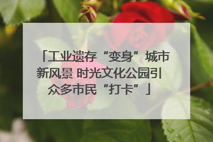 工业遗存“变身”城市新风景 时光文化公园引众多市民“打卡”