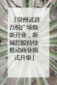 常州武进吾悦广场焕新开业，新城控股持续推动商业模式升级