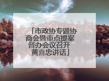 市政协专题协商会暨重点提案督办会议召开 黄喜忠讲话