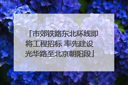 市郊铁路东北环线即将工程招标 率先建设光华路至北京朝阳段