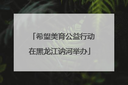 希望美育公益行动在黑龙江讷河举办