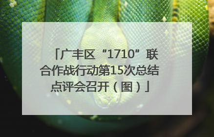广丰区“1710”联合作战行动第15次总结点评会召开（图）