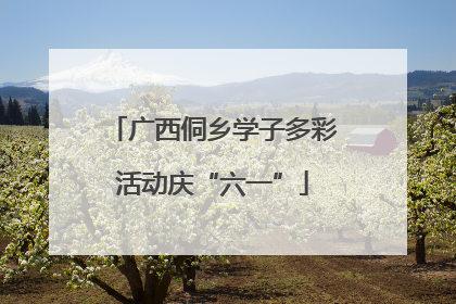 广西侗乡学子多彩活动庆“六一”