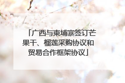 广西与柬埔寨签订芒果干、榴莲采购协议和贸易合作框架协议