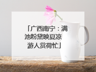 广西南宁：满池粉黛映夏凉 游人赏荷忙