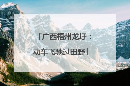 广西梧州龙圩：动车飞驰过田野