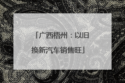 广西梧州：以旧换新汽车销售旺