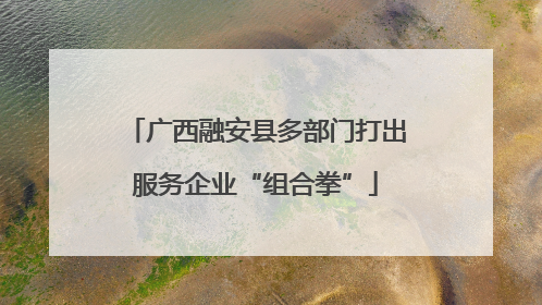 广西融安县多部门打出服务企业“组合拳”