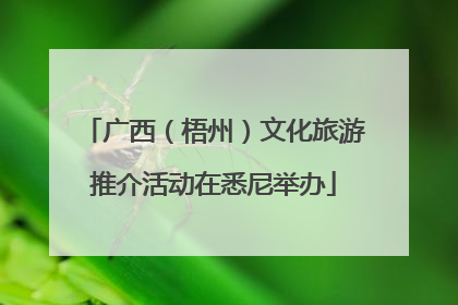 广西（梧州）文化旅游推介活动在悉尼举办