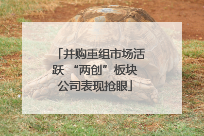 并购重组市场活跃 “两创”板块公司表现抢眼