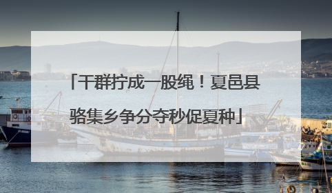 干群拧成一股绳！夏邑县骆集乡争分夺秒促夏种