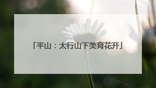 平山：太行山下美育花开