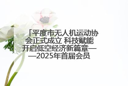 平度市无人机运动协会正式成立 科技赋能开启低空经济新篇章——2025年首届会员大会暨无人机应用发展论坛成功举办
