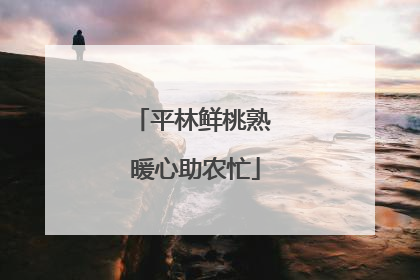 平林鲜桃熟 暖心助农忙