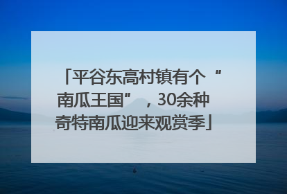 平谷东高村镇有个“南瓜王国”，30余种奇特南瓜迎来观赏季