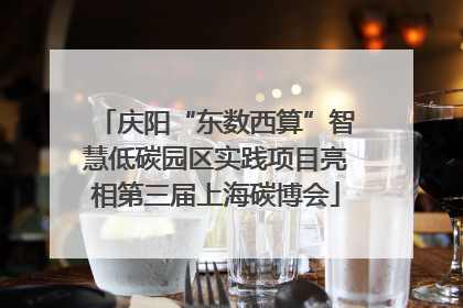 庆阳“东数西算”智慧低碳园区实践项目亮相第三届上海碳博会